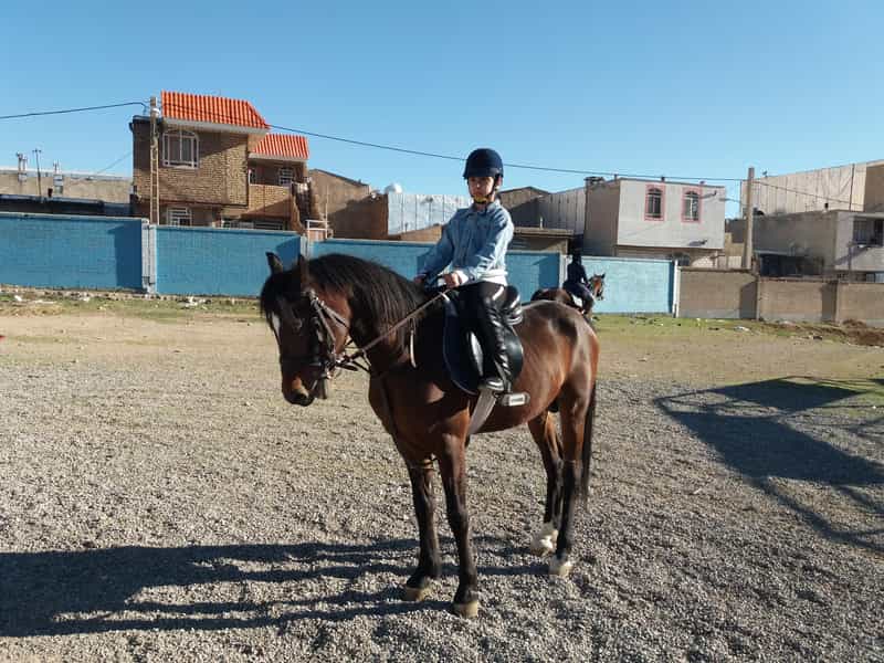 عکس باشگاه سوارکاری شهدای کارگر کرج