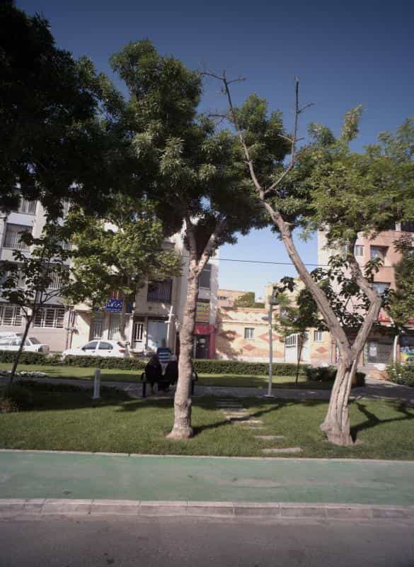 عکس دفتر وکالت زهرا کاشانی در دریادل مشهد