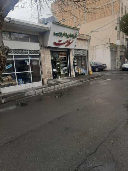 عکس گیاهان دارویی سلامت کوی امامیه کرج