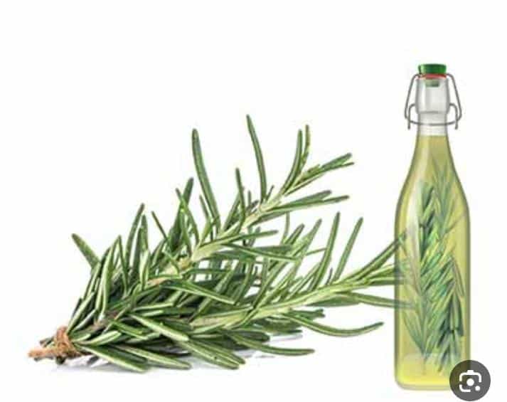 عکس بابا عطار در اسلام آباد کرج