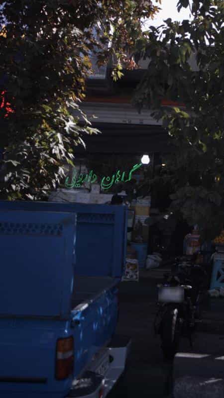 عکس گیاهان دارویی شهرک حسینی کرج