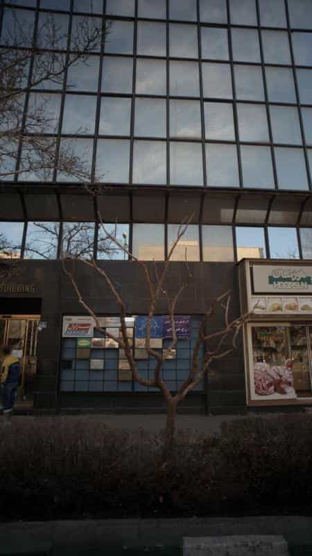 عکس دکتر سوسن سکوتی در ونک تهران