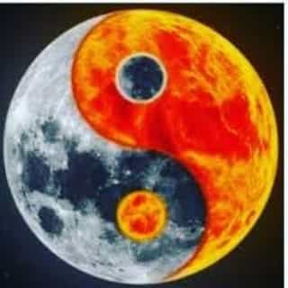 عکس دندانپزشکی دکتر محمد رضا سهرابی در حکمت تهران