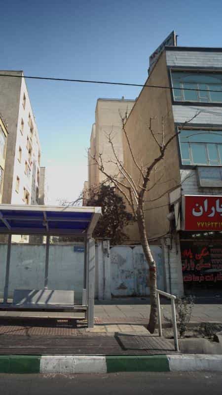 عکس دکتر مریم ملک زاده در امامت تهران