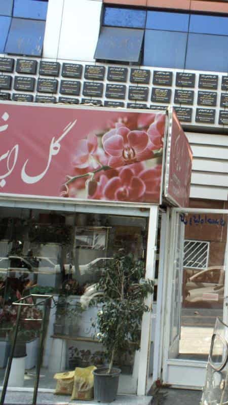 عکس دکتر زهرا توکل در تهرانپارس غربی تهران