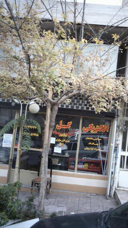 عکس الکتریکی گل در فاز سه گوهردشت کرج