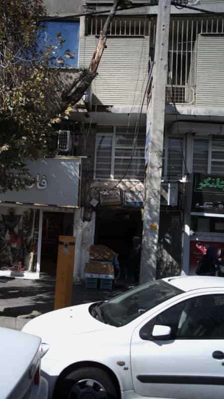 عکس دکتر زهره زارع گنبدی در طالقانی کرج