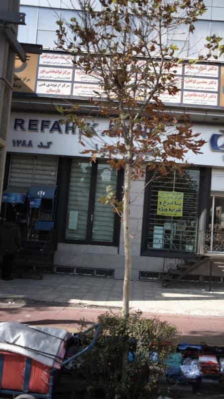 عکس دکتر سید مهران برقعی در چهارصد دستگاه کرج