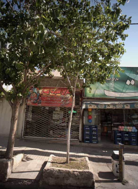 عکس عطاری همیشه بهار در شفا مشهد
