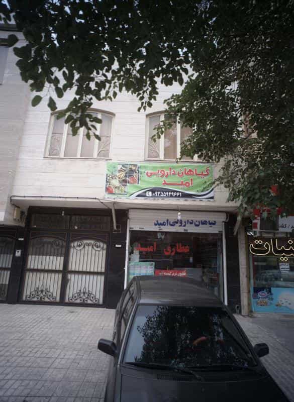 عکس گیاهان دارویی امید در کوشش مشهد