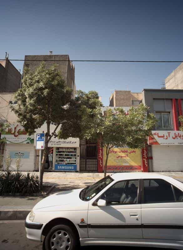 عکس عطاری گل لاله در آزادشهر مشهد