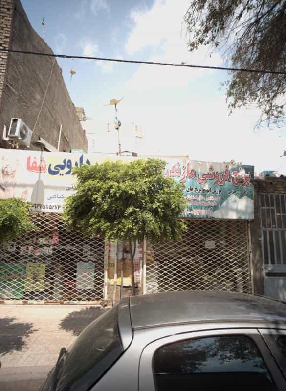 عکس گیاهان دارویی شفا در گلشور مشهد