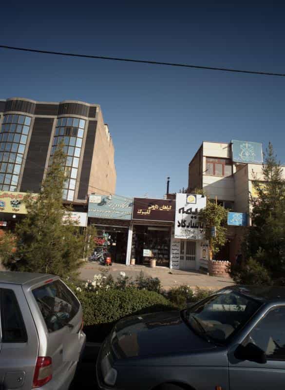 عکس گیاهان دارویی گلبرگ در استاد یوسفی مشهد