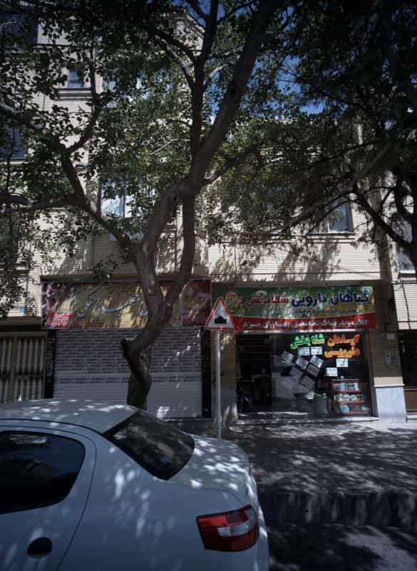 عکس گیاهان دارویی شفابخش در شهید بهشتی مشهد