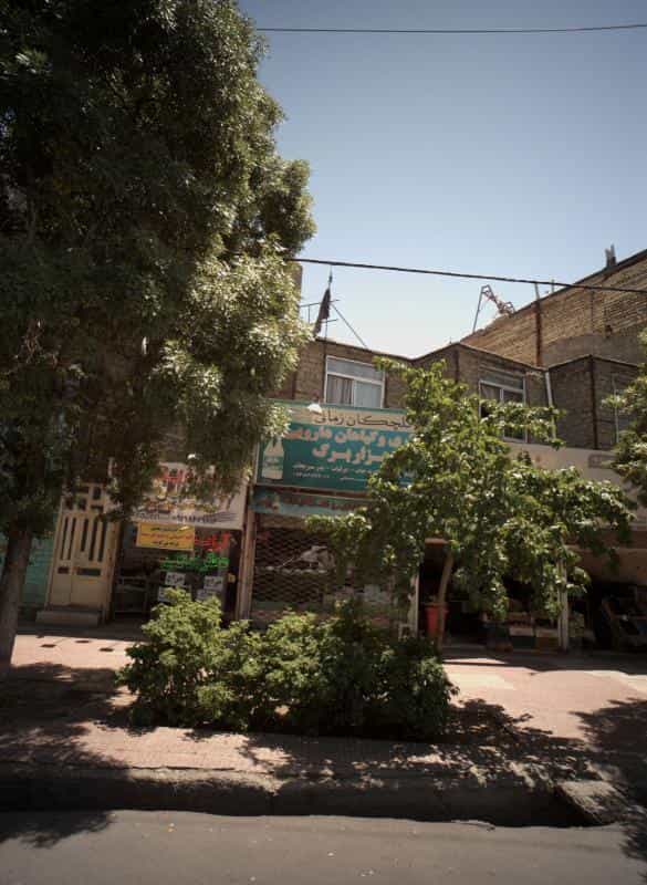 عکس عطاری و گیاهان دارویی هزاربرگ در هنرور مشهد