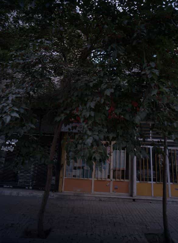 عکس فروشگاه گیاهان دارویی کوی امیرالمومنین مشهد