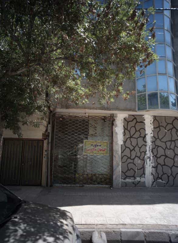 عکس مشاوره گیاهان دارویی در وحید مشهد