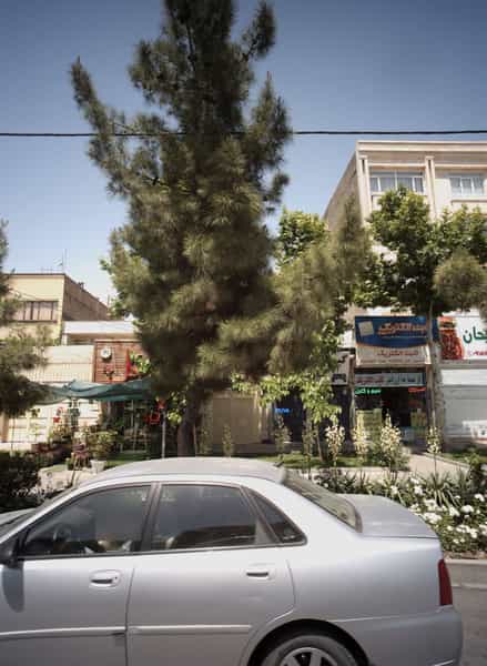 عکس ثابت الکتریک در تربیت مشهد