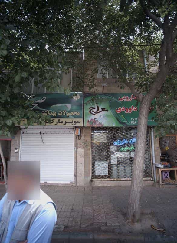 عکس گیاهان دارویی گلهای داوودی در خواجه ربیع مشهد