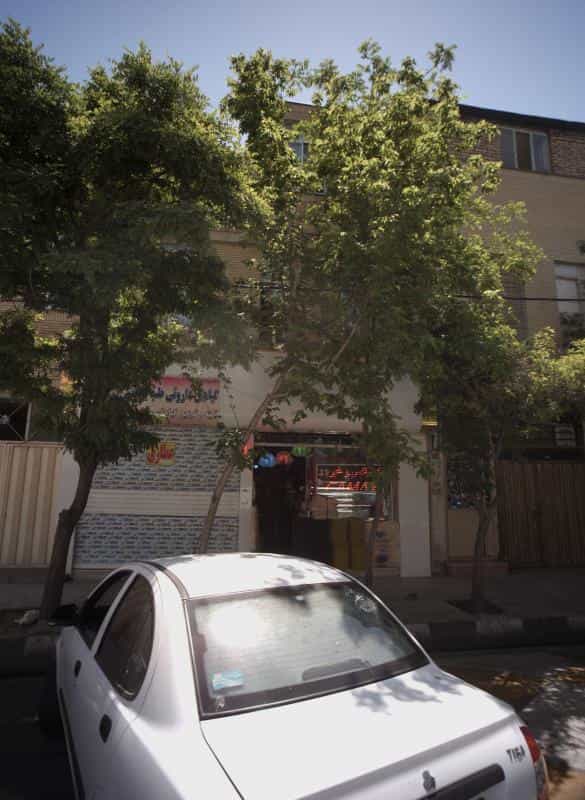 عکس گیاهان داروئی طب یونانی در وحید مشهد