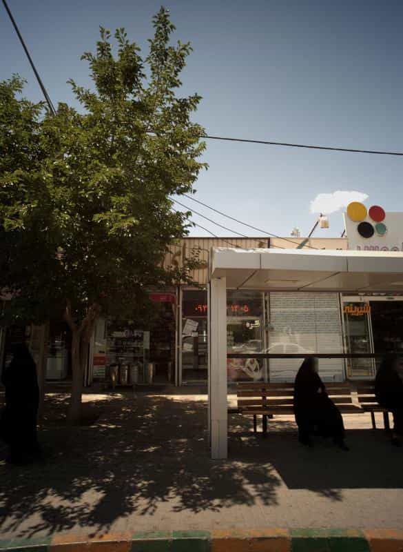 عکس گیاهان دارویی فردوسی در خواجه ربیع مشهد