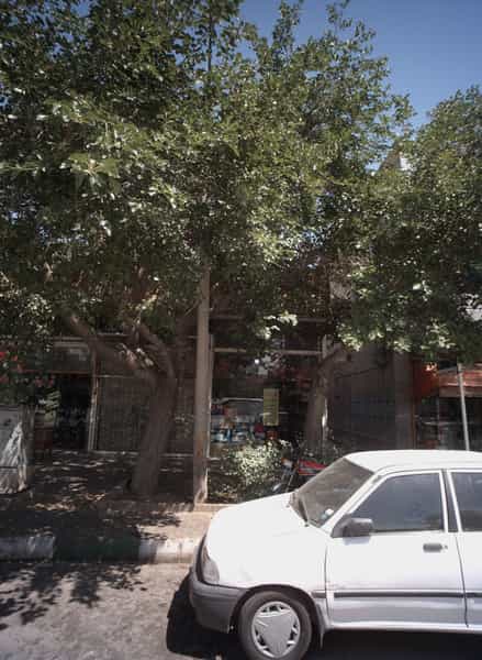 عکس الکترونیک سجاد در شهید معقول مشهد