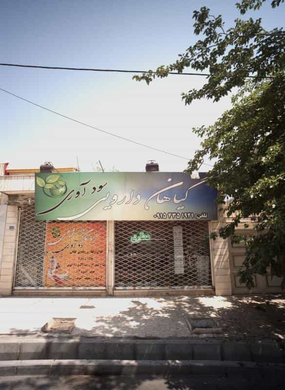 عکس گیاهان دارویی سودآوری در سید رضی مشهد