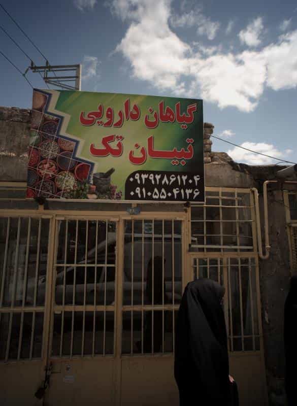 عکس گیاهان دارویی تبیان تک در شهید معقول مشهد