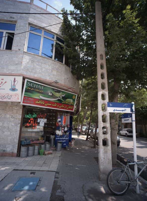عکس گیاه درمانی و طب سنتی باباقند در طلاب مشهد