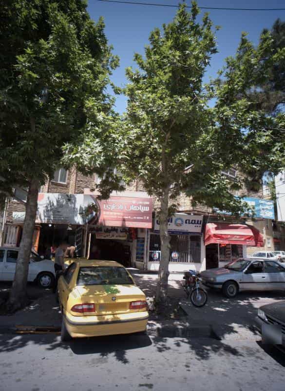 عکس گیاهان دارویی طب الرضا در هدایت مشهد