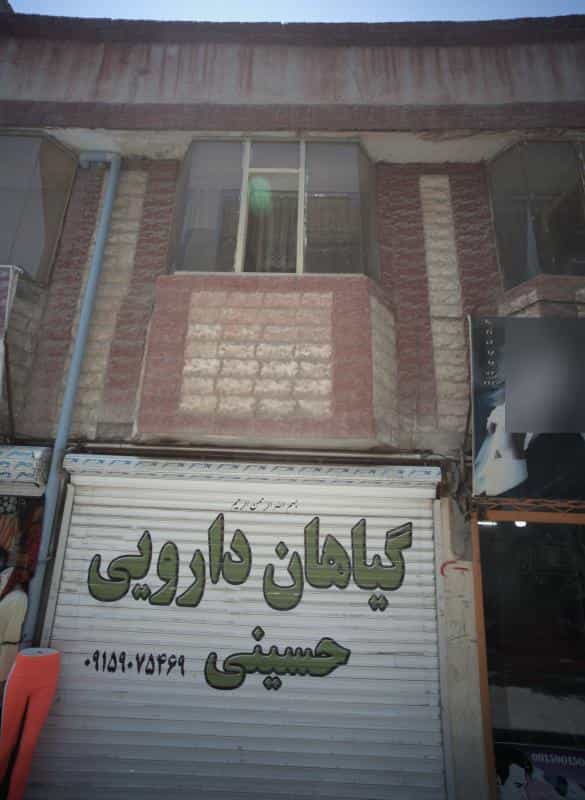 عکس گیاهان دارویی حسینی در طبرسی شمالی مشهد