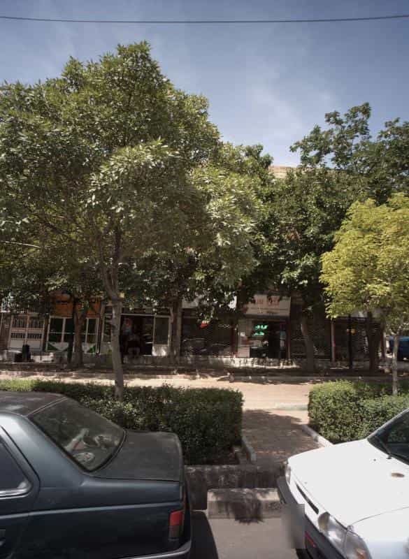 عکس عطاری گل سرخ شهرک بهارستان مشهد