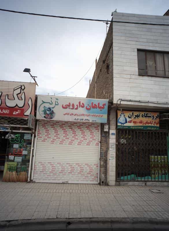 عکس گیاهان دارویی ترنج در خاتم الانبیا مشهد