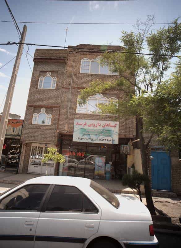 عکس گیاهان دارویی فربد در امامیه مشهد