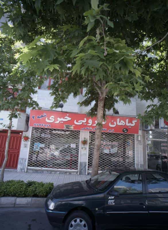 عکس گیاهان دارویی خیری در ولیعصر مشهد