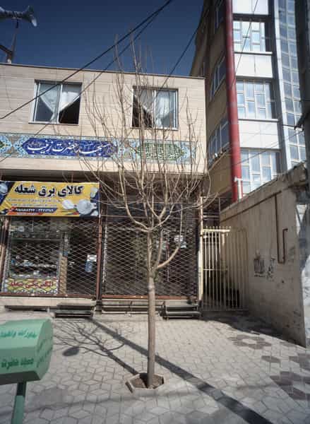 عکس کالای برق شعله در شهید معقول مشهد