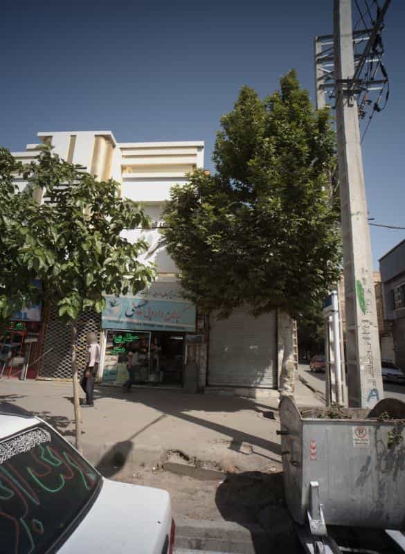 عکس گیاهان دارویی حسینی در طبرسی شمالی مشهد