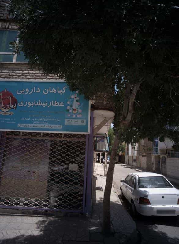 عکس گیاهان دارویی عطار نیشابوری در طبرسی شمالی مشهد