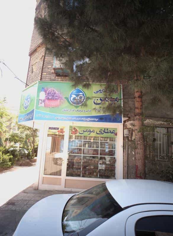 عکس گیاهان دارویی مومن در اقبال مشهد