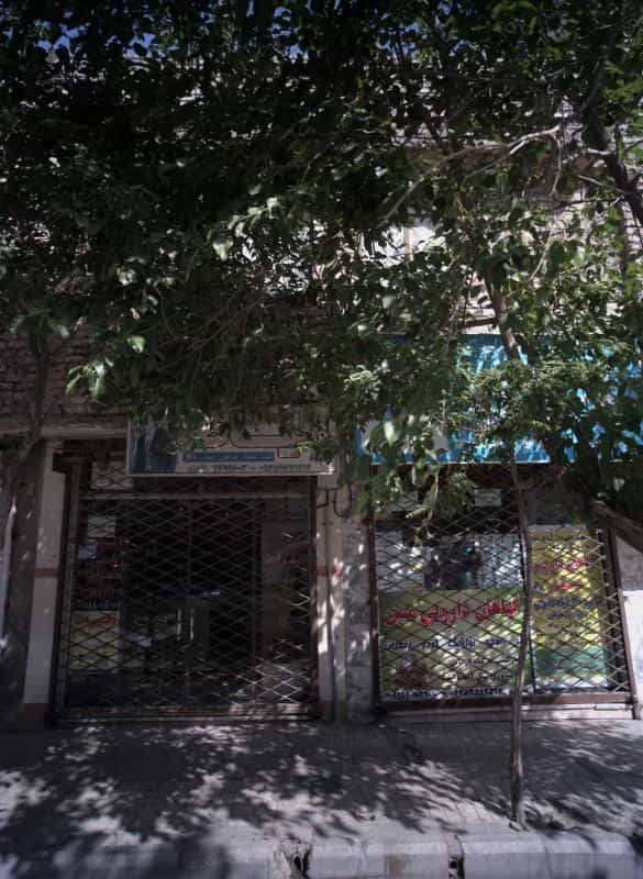 عکس گیاهان دارویی متین در خواجه ربیع مشهد