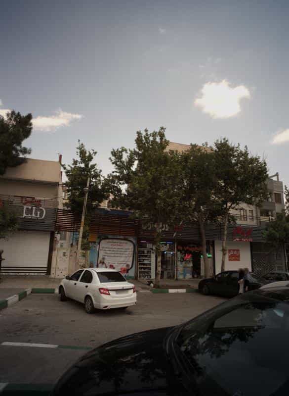 عکس گیاهان دارویی طب رضا در هنرستان مشهد