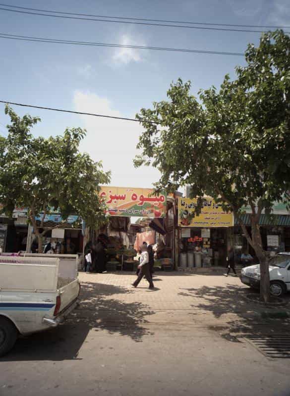 عکس طب سنتی و گیاهان دارویی رضا در شهید معقول مشهد