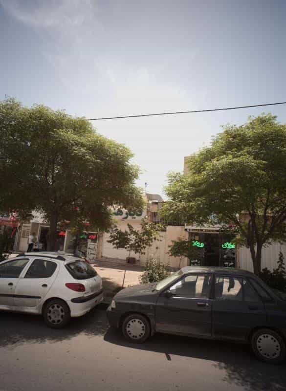 عکس گیاهان داروئی دیار هند در فرهنگیان مشهد