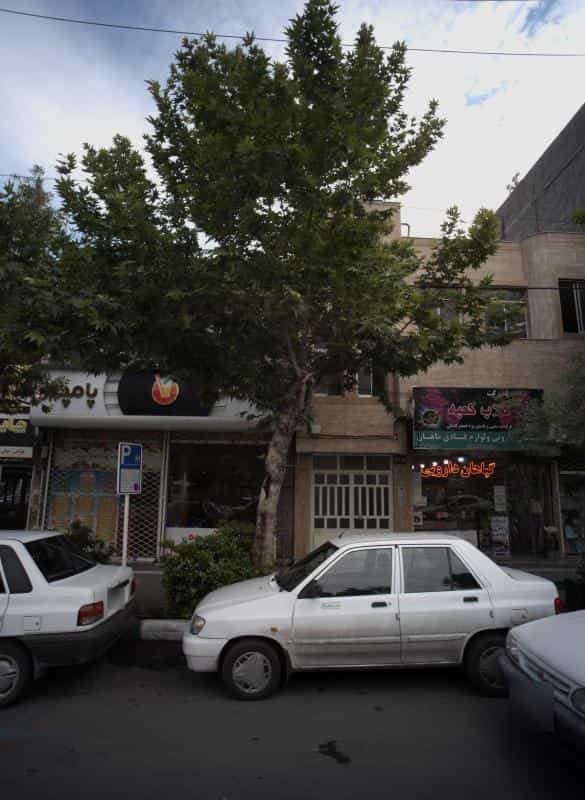 عکس گیاهان دارویی و لوازم قنادی ماهان در فرهنگ مشهد