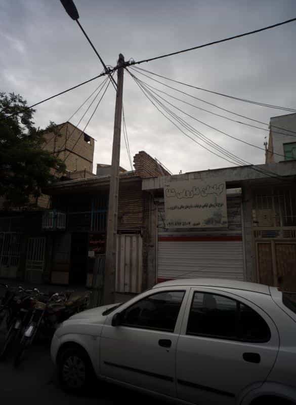 عکس گیاهان دارویی شفا در خاتم الانبیا مشهد