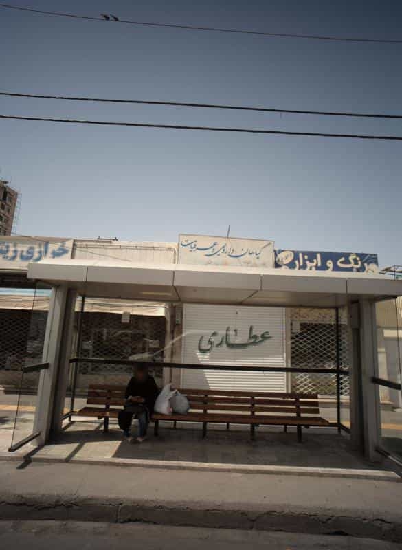 عکس گیاهان دارویی و عرقیات زیتون در شاهد مشهد