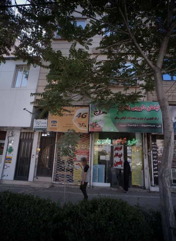 عکس گیاهان دارویی یاسین در نیروی هوایی مشهد