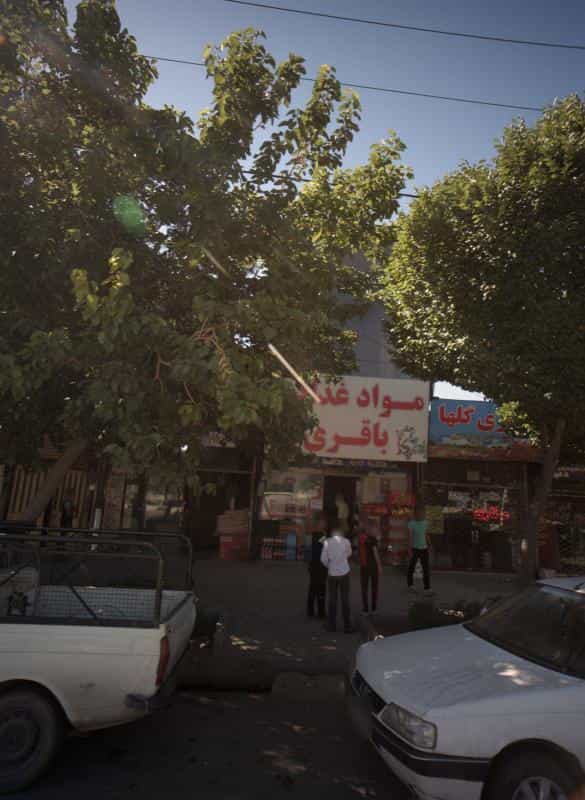 عکس عطاری گلها در پنجتن آل عبا مشهد