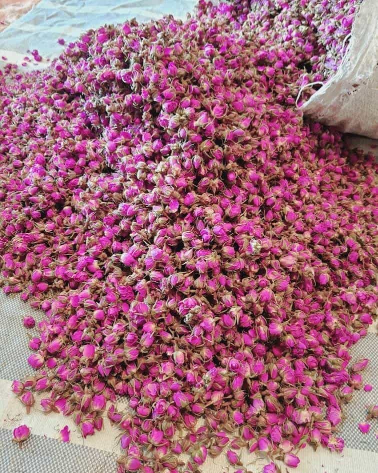 عکس عطاری گل سوسن در فرامرز عباسی مشهد
