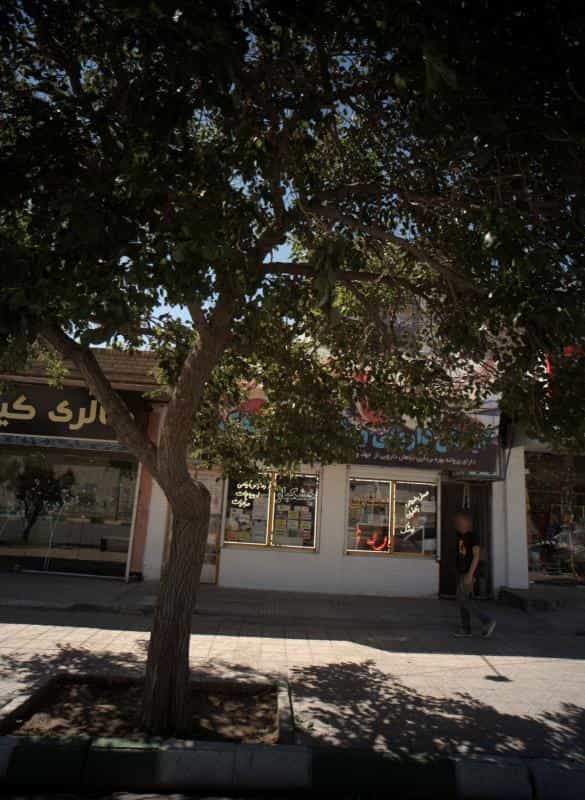 عکس گیاهان دارویی و طب سنتی میخک در اقبال مشهد